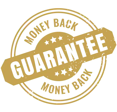 100% Satisfaction Guarantee - Indie Web Design