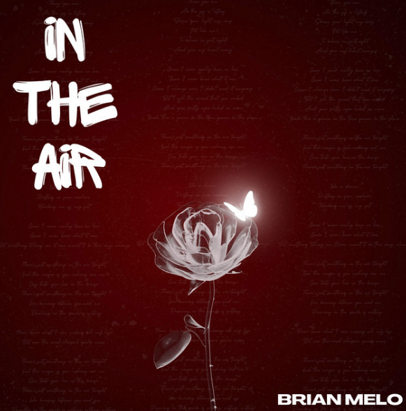 In The Air - Brian Melo