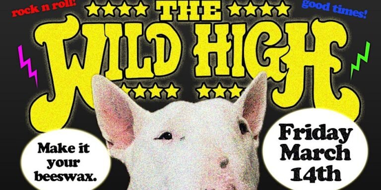 The WIld High - 175 Young Steet